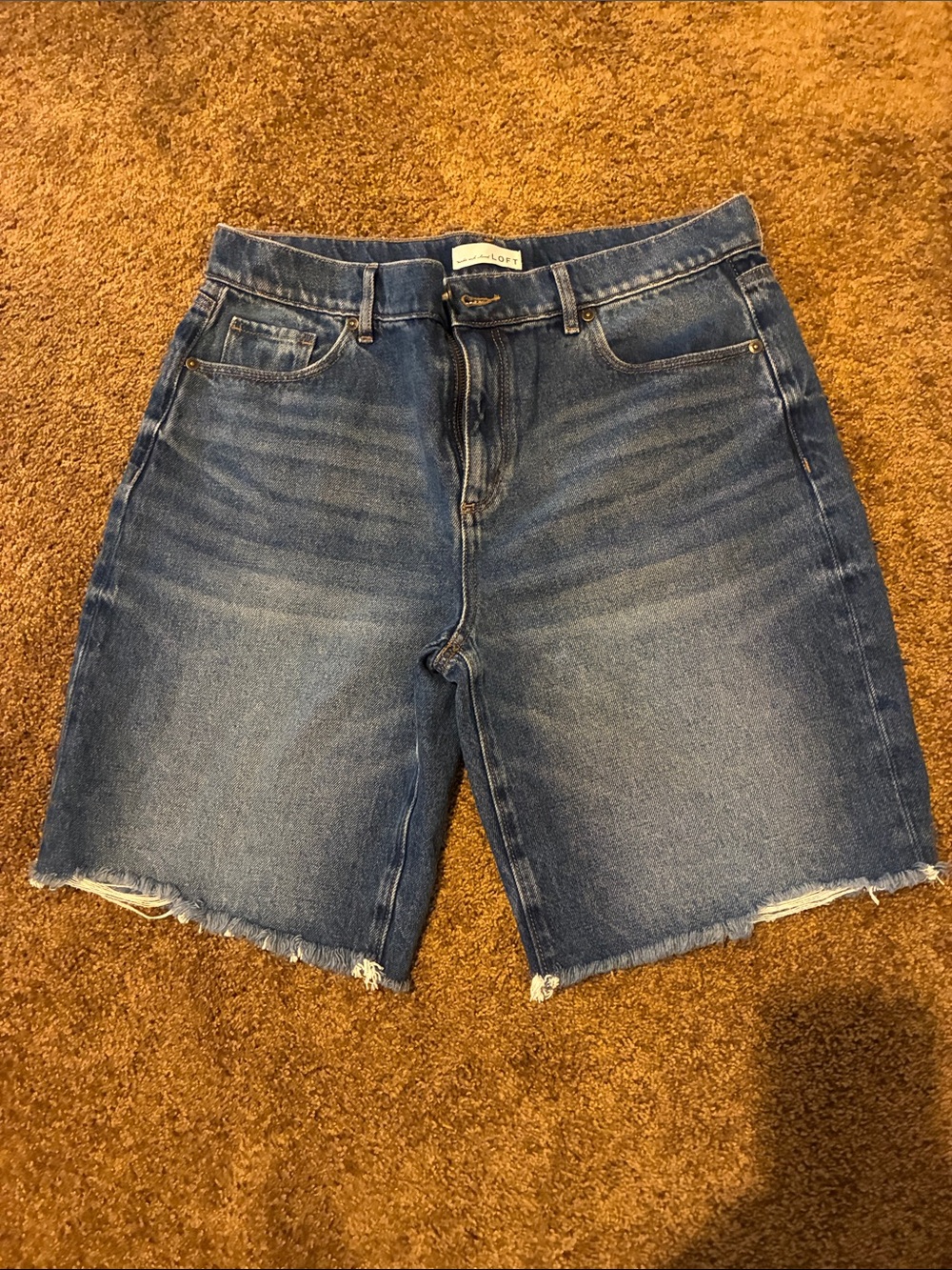 LOFT. Size 8. High-Rise Frayed Hem Denim Shorts - Blue. Worn once.